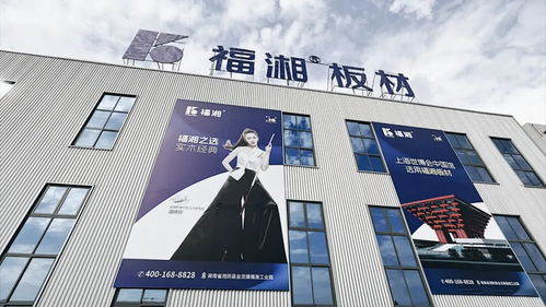 創新齊聚力 同心向未來丨福湘北方臨沂客戶服務中心成立暨新產品發布會圓滿成功